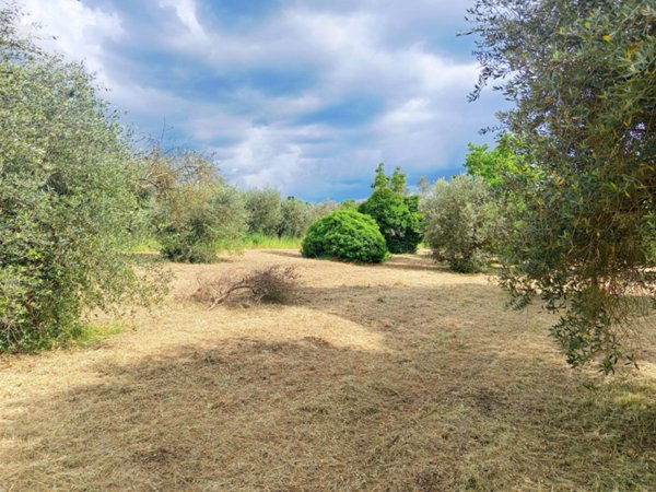 casale in vendita a Palombara Sabina
