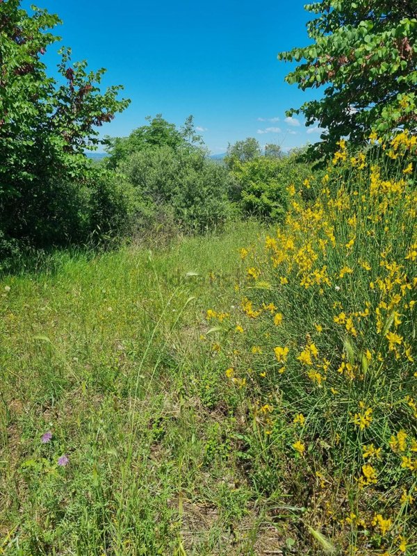 terreno in vendita a Palombara Sabina