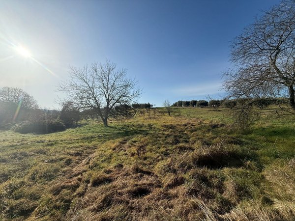 terreno in vendita a Palombara Sabina