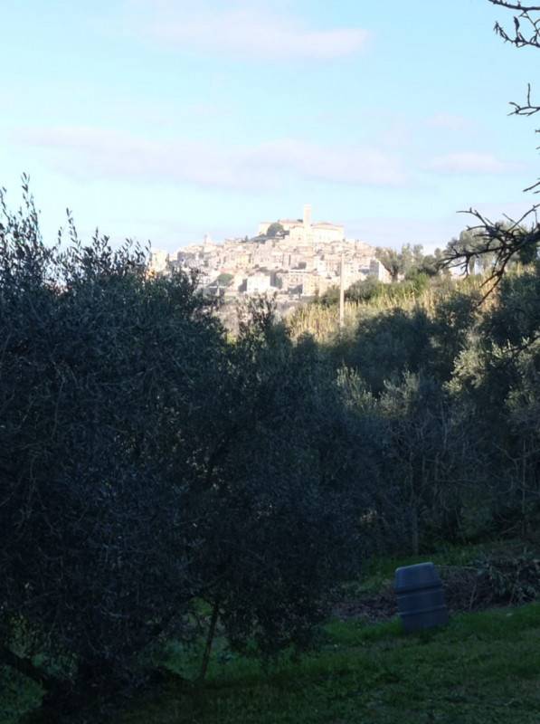 terreno in vendita a Palombara Sabina