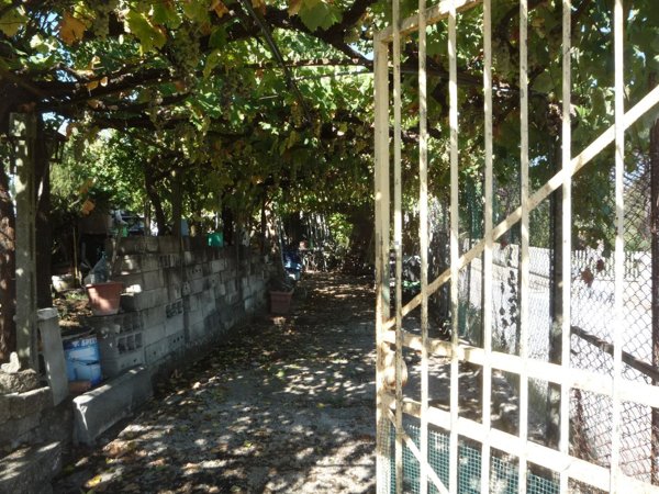 casa indipendente in vendita a Palombara Sabina