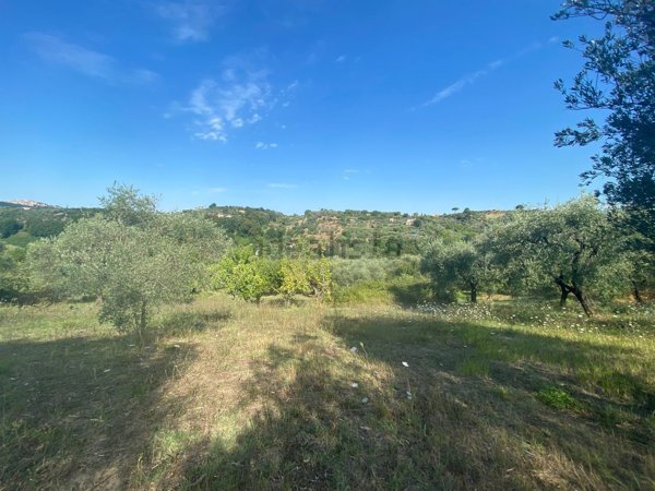 terreno in vendita a Palombara Sabina