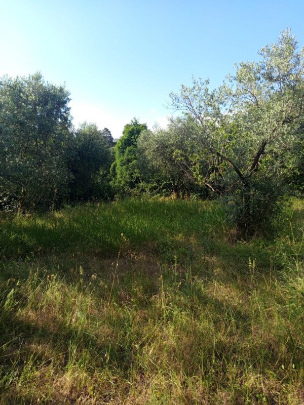 terreno in vendita a Palombara Sabina
