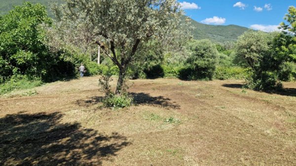 terreno agricolo in vendita a Palombara Sabina