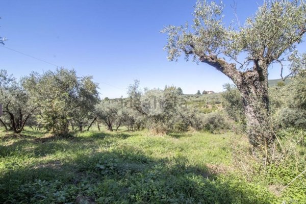casale in vendita a Palombara Sabina in zona Stazzano