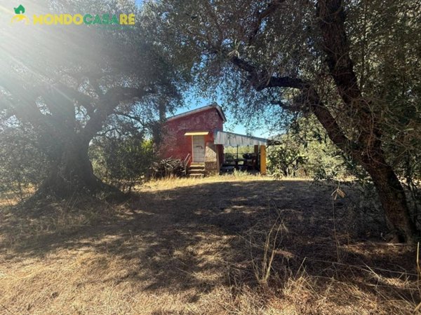 casa indipendente in vendita a Palombara Sabina