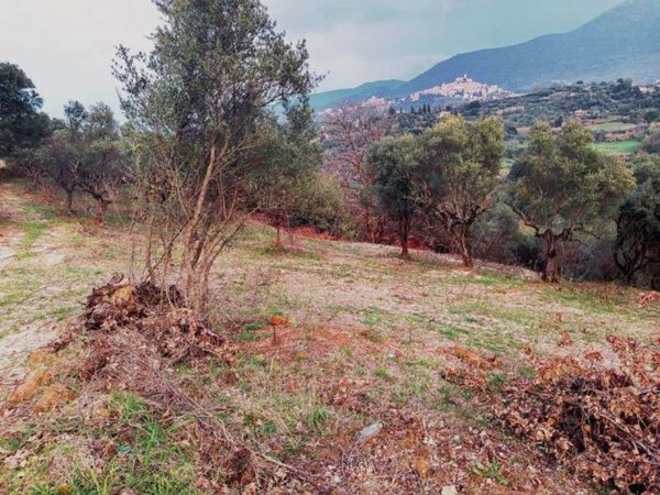 terreno in vendita a Palombara Sabina