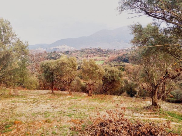 terreno in vendita a Palombara Sabina
