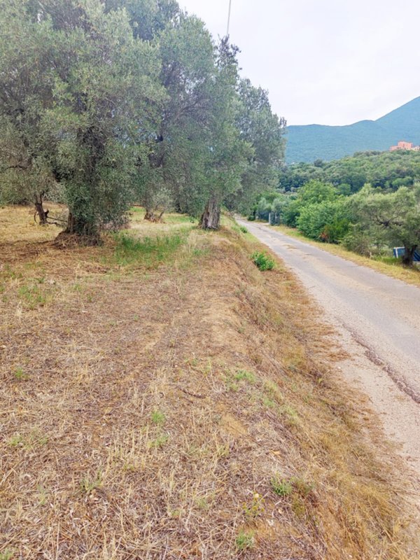terreno in vendita a Palombara Sabina