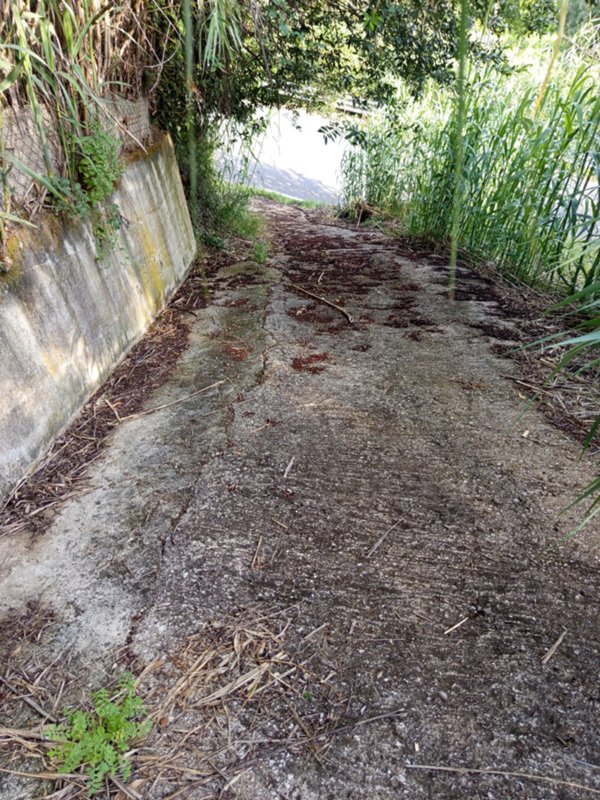 terreno in vendita a Palombara Sabina