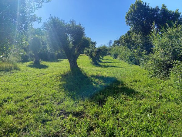 terreno in vendita a Palombara Sabina