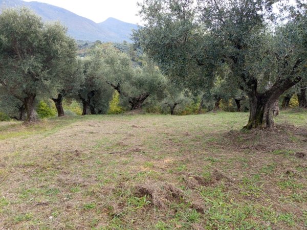 terreno in vendita a Palombara Sabina
