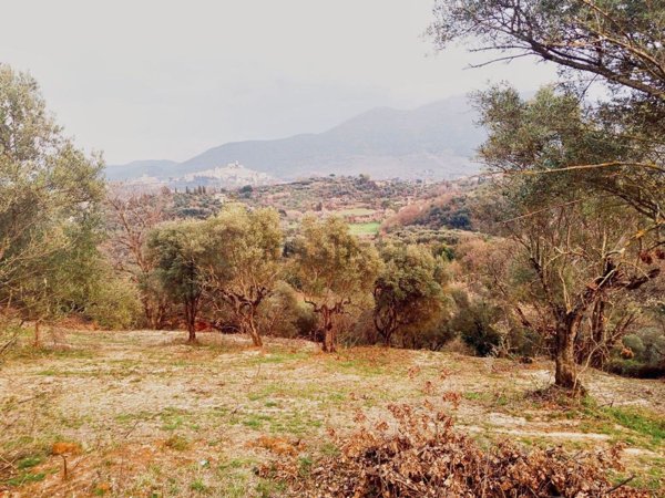 terreno in vendita a Palombara Sabina