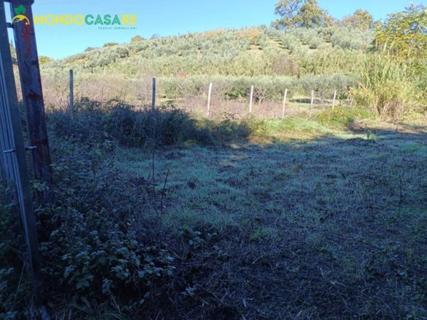 terreno in vendita a Palombara Sabina