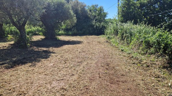 terreno in vendita a Palombara Sabina