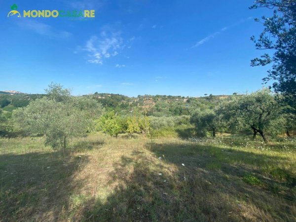 terreno in vendita a Palombara Sabina