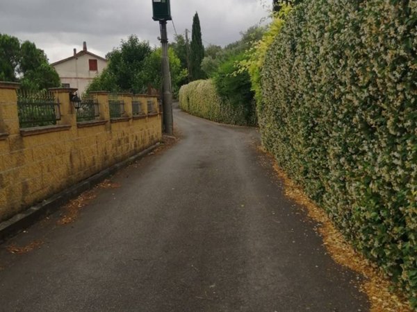 terreno in vendita a Palombara Sabina