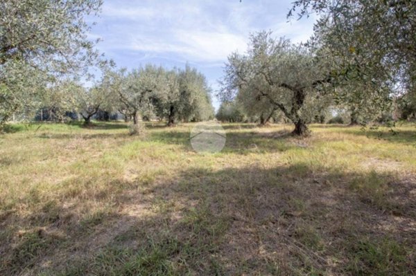 terreno in vendita a Palombara Sabina