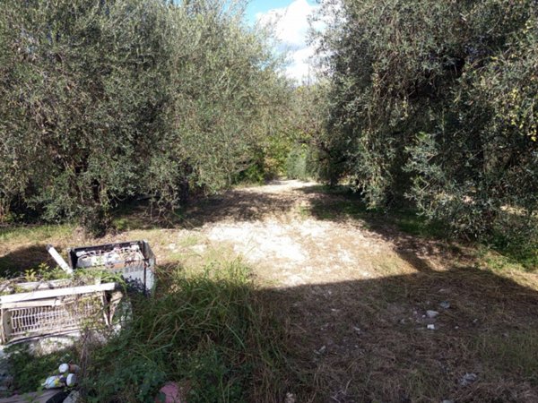 casa indipendente in vendita a Palombara Sabina