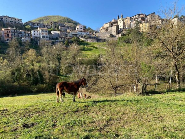 terreno agricolo in vendita a Percile