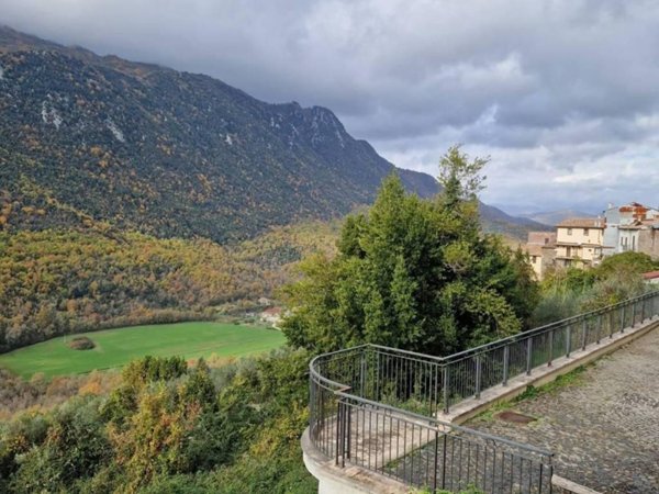 immagine annuncio 0 di 5