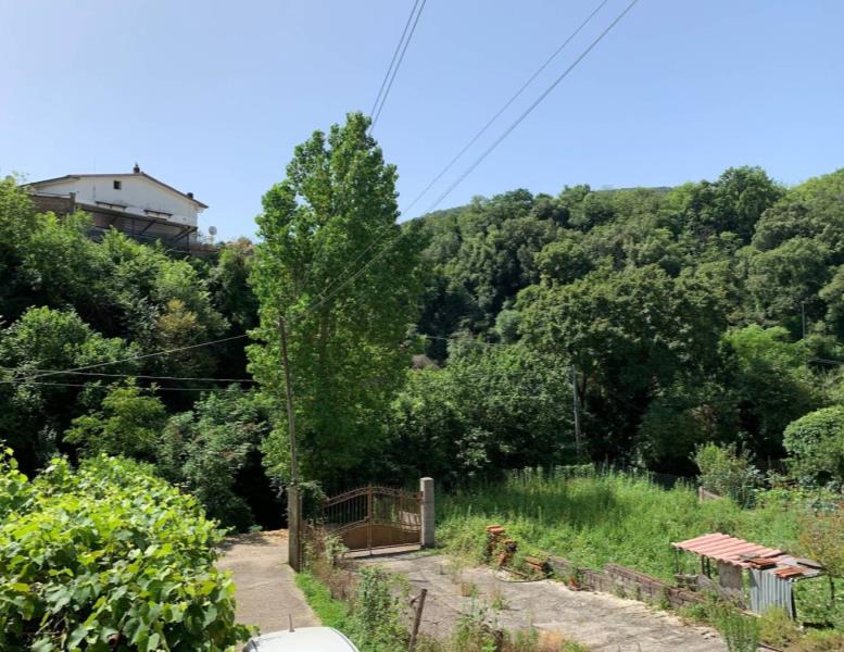 casa indipendente in vendita a Poli