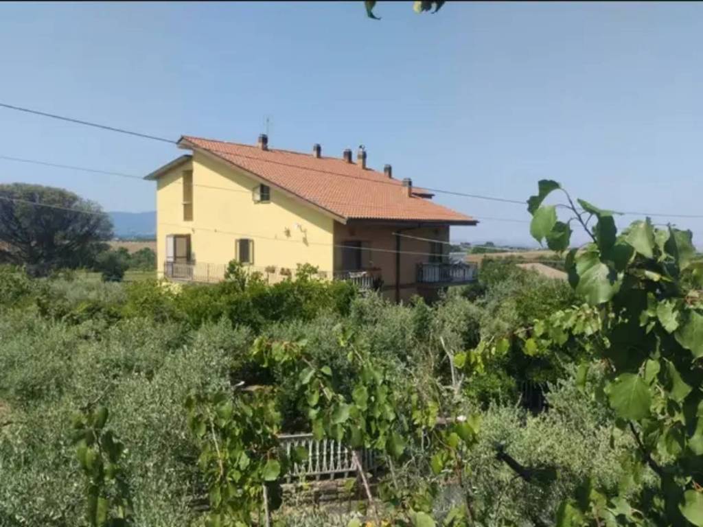 appartamento in vendita a Poli