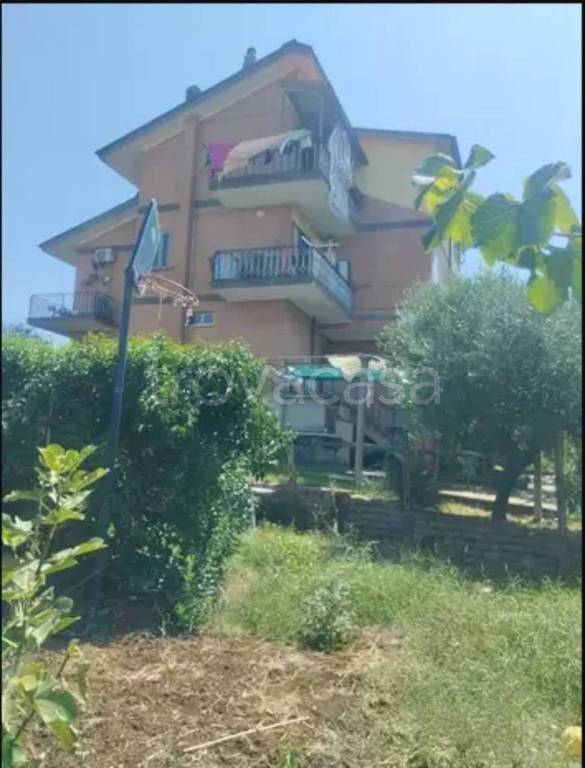 appartamento in vendita a Poli