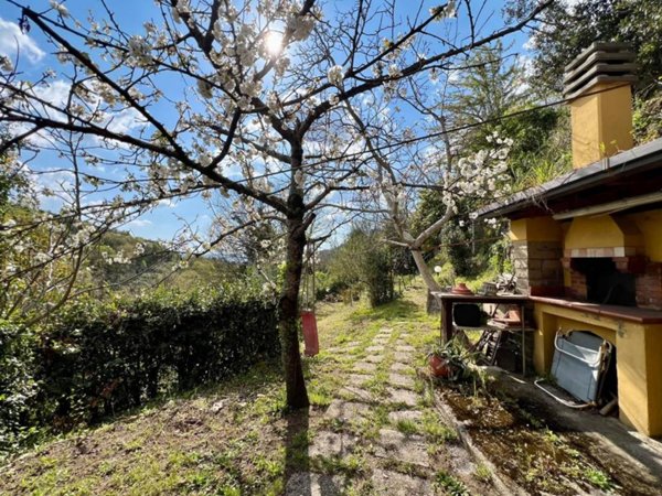 terreno agricolo in vendita a Poli