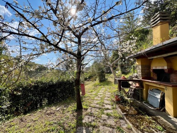 terreno agricolo in vendita a Poli