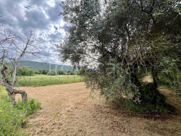 monolocale in vendita a Poli