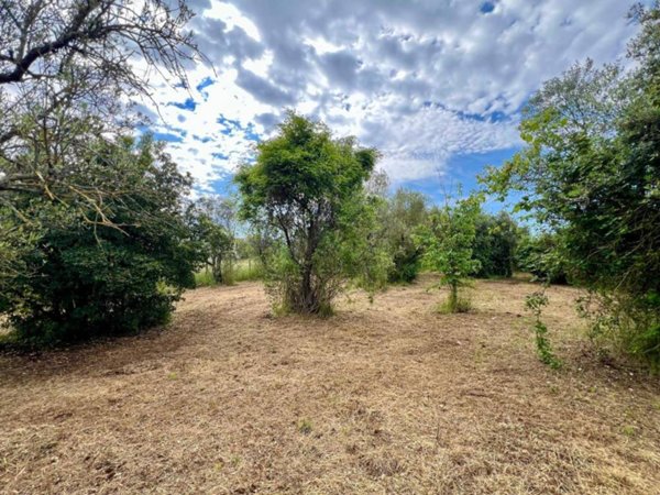 casale in vendita a Poli