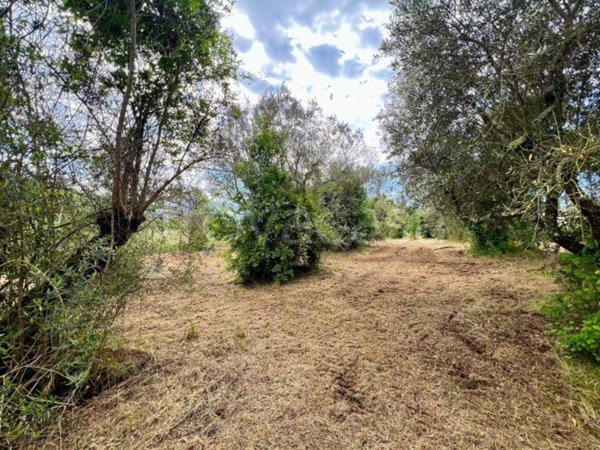 casale in vendita a Poli