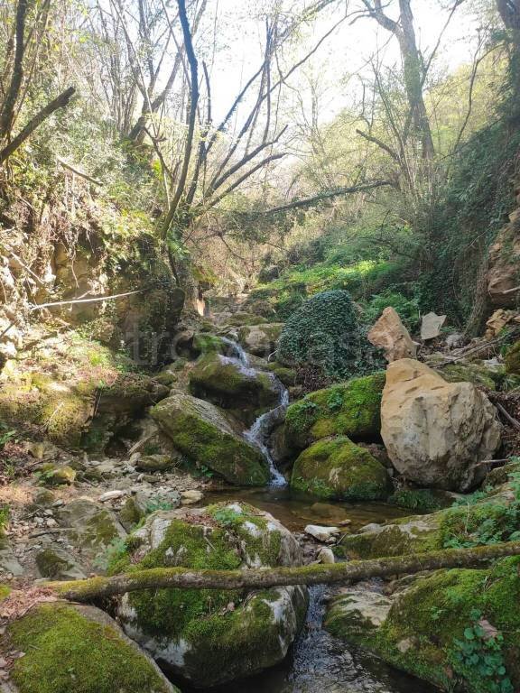 terreno agricolo in vendita a Poli