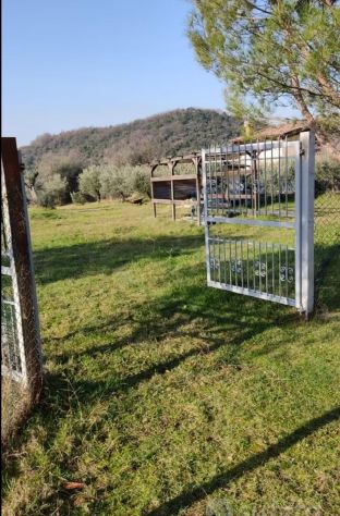 terreno agricolo in vendita a Poli