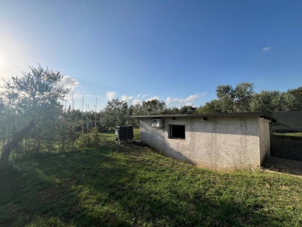 casa indipendente in vendita a Poli