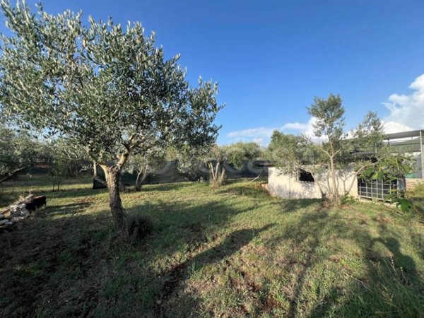 casa indipendente in vendita a Poli in zona Polledrara