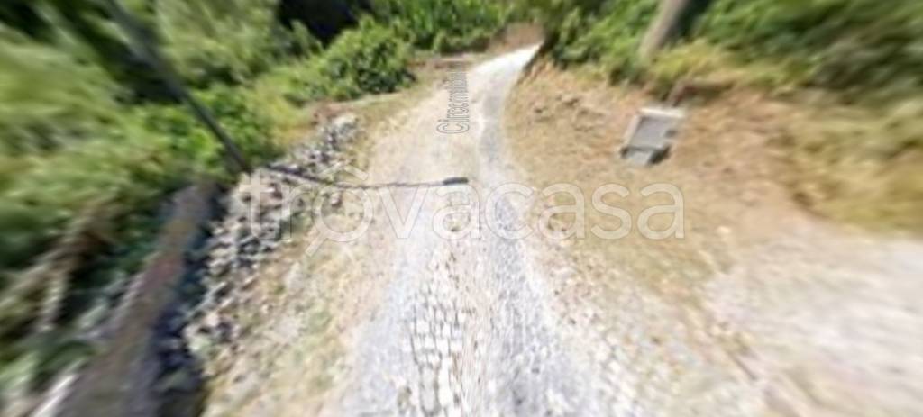 appartamento in vendita a Poli