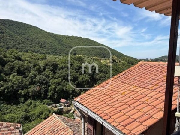 appartamento in vendita a Poli in zona Polledrara