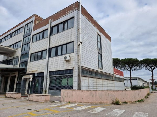 negozio in vendita a Pomezia in zona Pratica di Mare