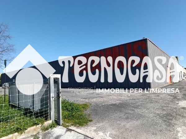 locale commerciale in vendita a Pomezia in zona Santa Procula