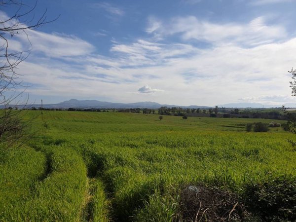 terreno agricolo in vendita a Pomezia