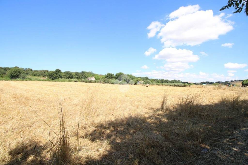 terreno agricolo in vendita a Pomezia in zona Castagnetta
