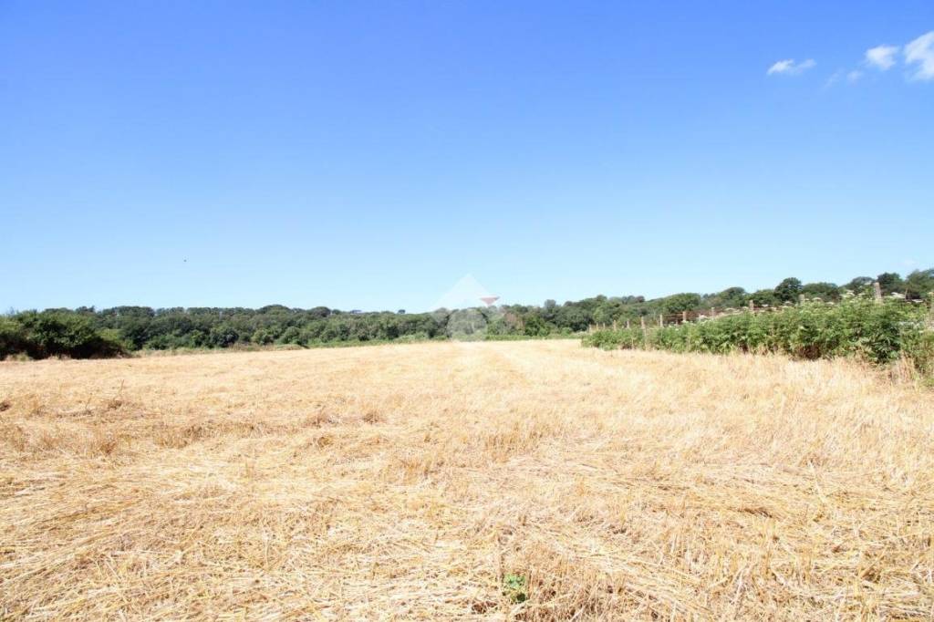 terreno agricolo in vendita a Pomezia in zona Castagnetta