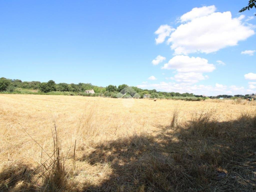 terreno agricolo in vendita a Pomezia in zona Castagnetta