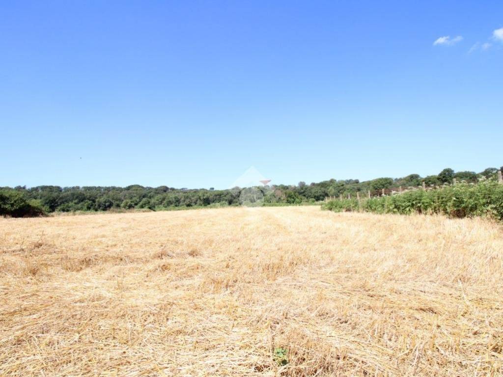 terreno agricolo in vendita a Pomezia in zona Castagnetta