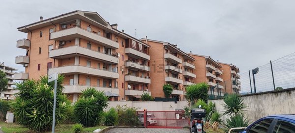 appartamento in vendita a Pomezia in zona Santa Palomba