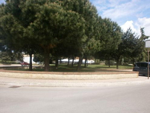 casa indipendente in vendita a Pomezia in zona Colli di Enea