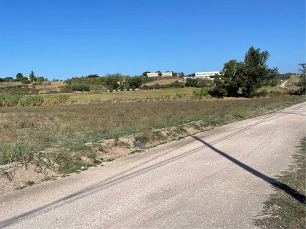 terreno agricolo in vendita a Pomezia in zona Santa Palomba