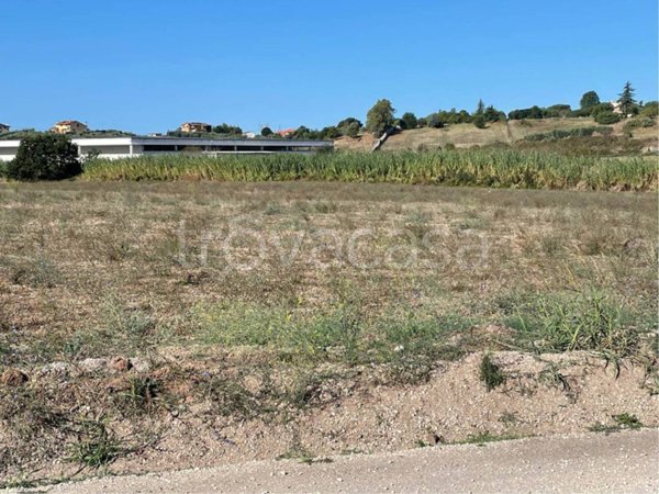 terreno agricolo in vendita a Pomezia